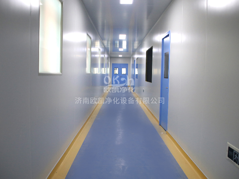 產(chǎn)品-GMP凈化車間走廊.jpg